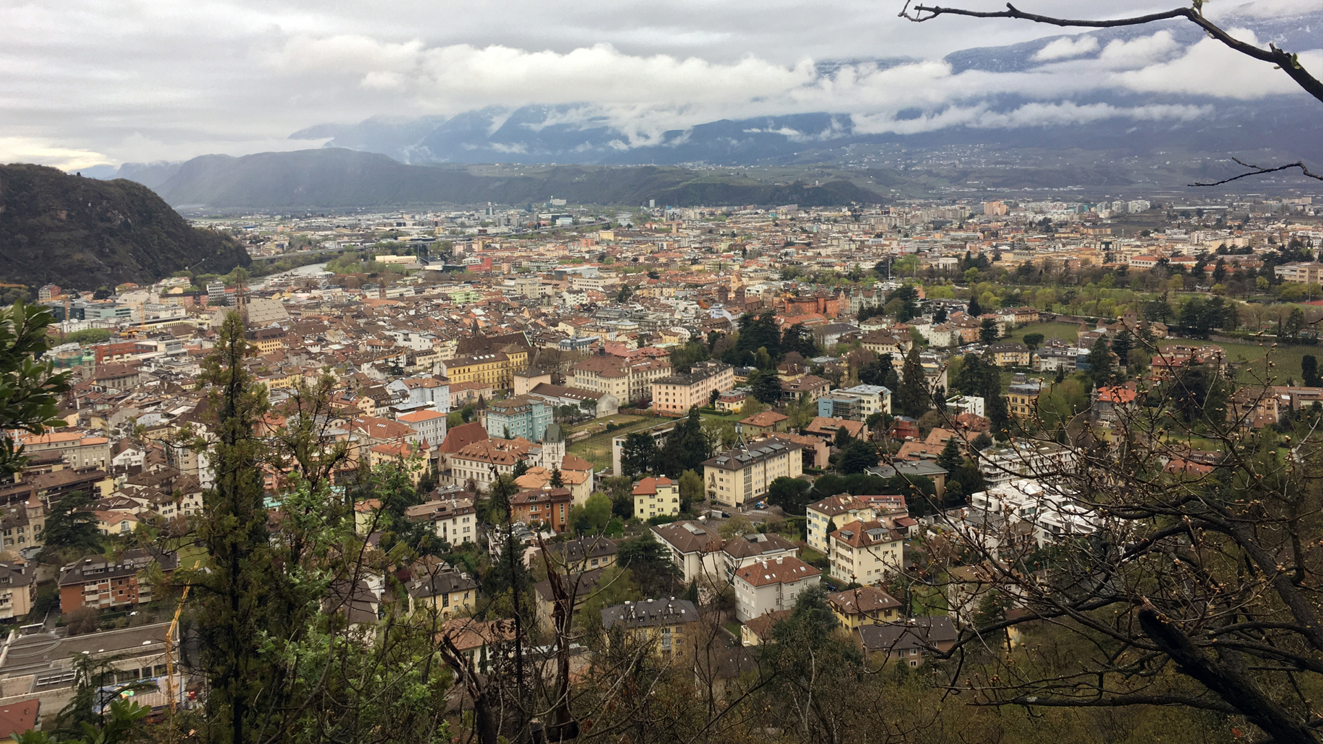 Cenifer bolzano